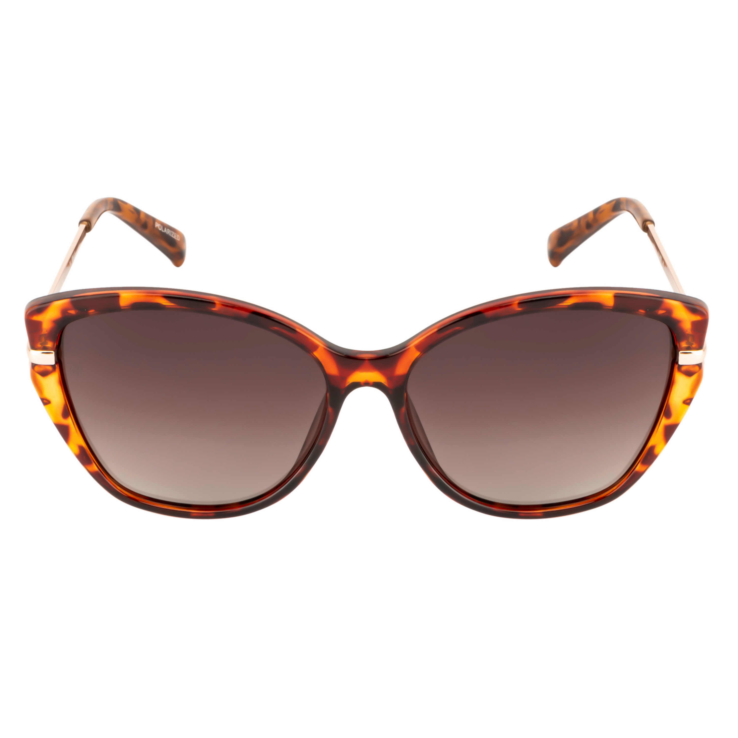Velocity Butterfly Gradient Brown  POL Polarized Sunglasses