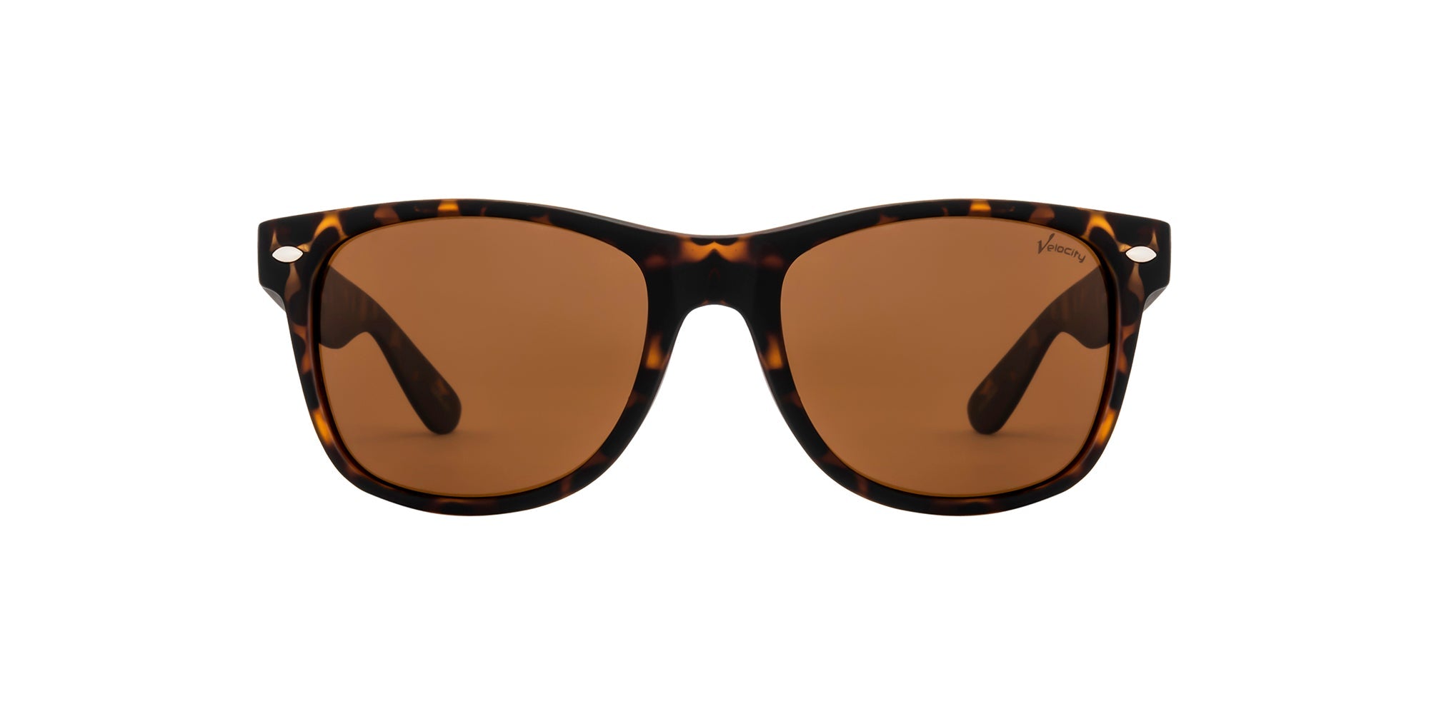 Velocity Sunglasses 1958 Sunglass