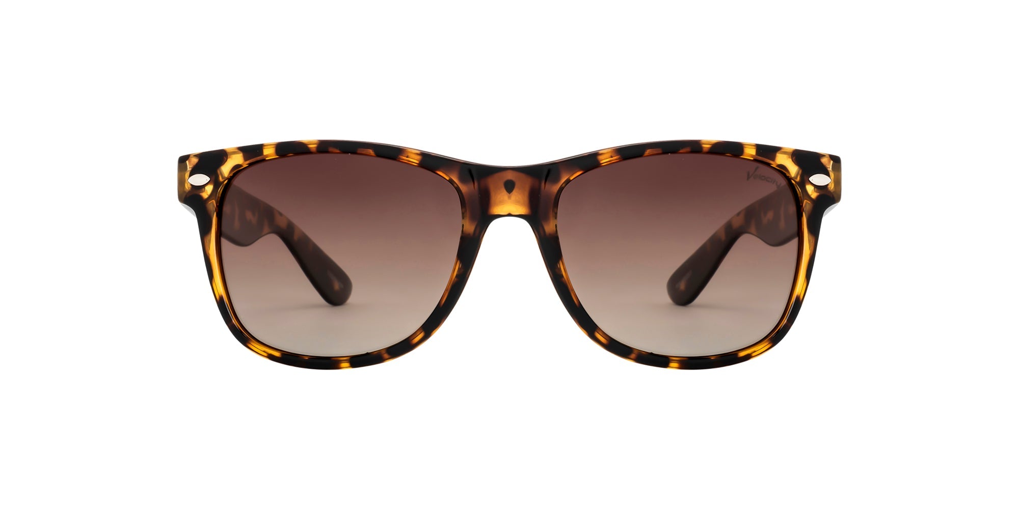Velocity Sunglasses 1958 Sunglass