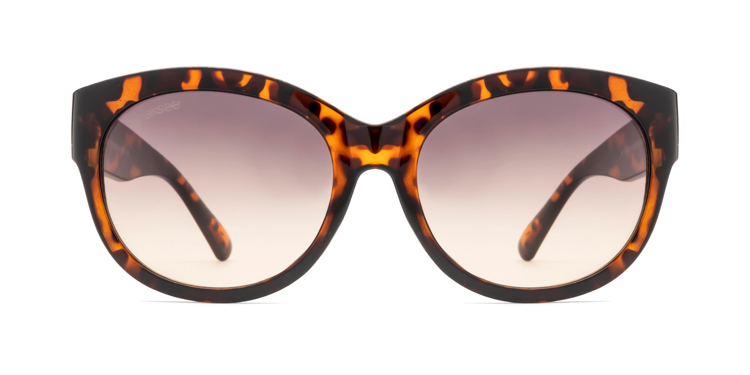 Speksee Full Rim Retro Rectangle Sunglass
