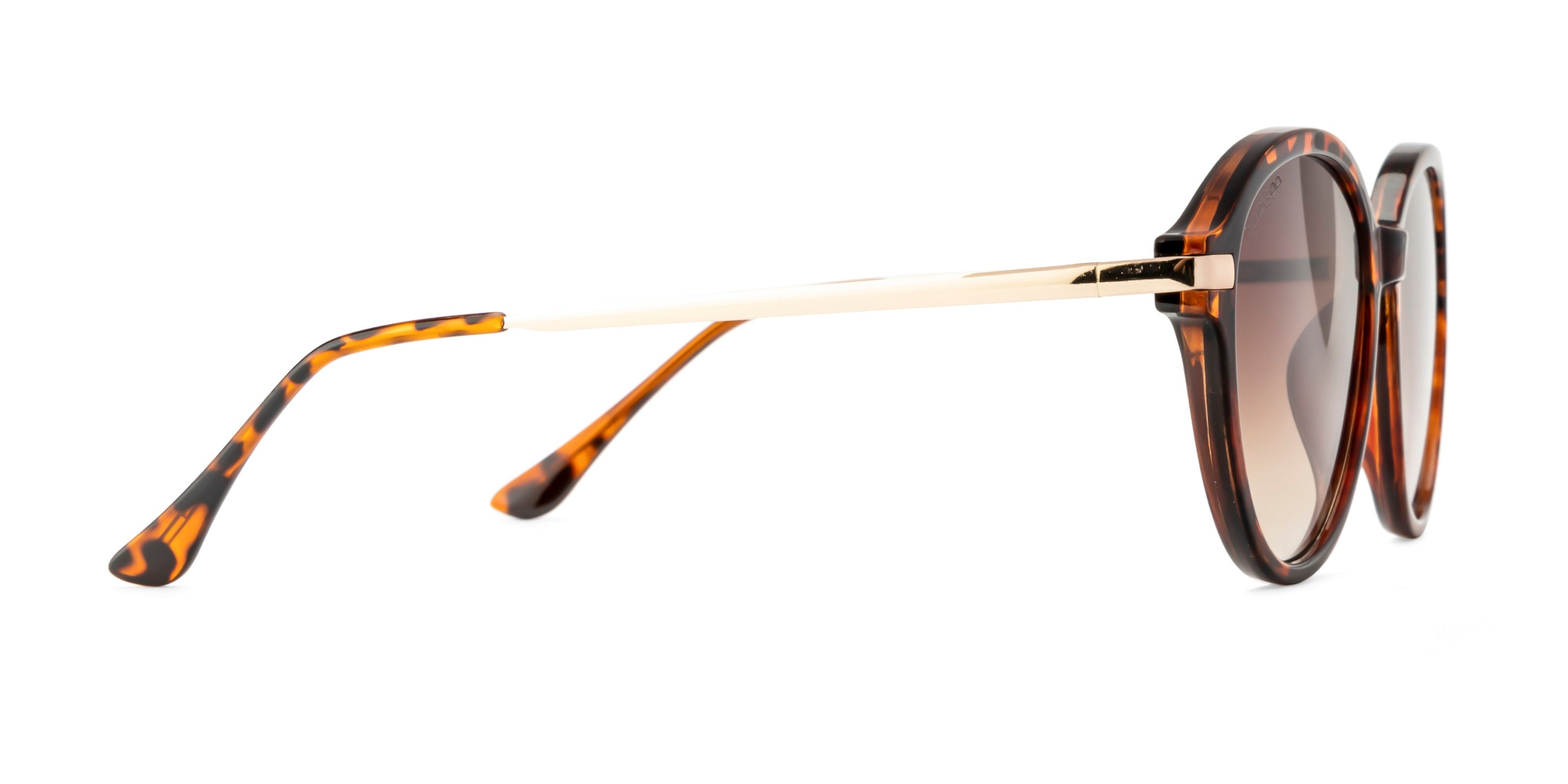 Speksee Full Rim Retro Round Sunglass