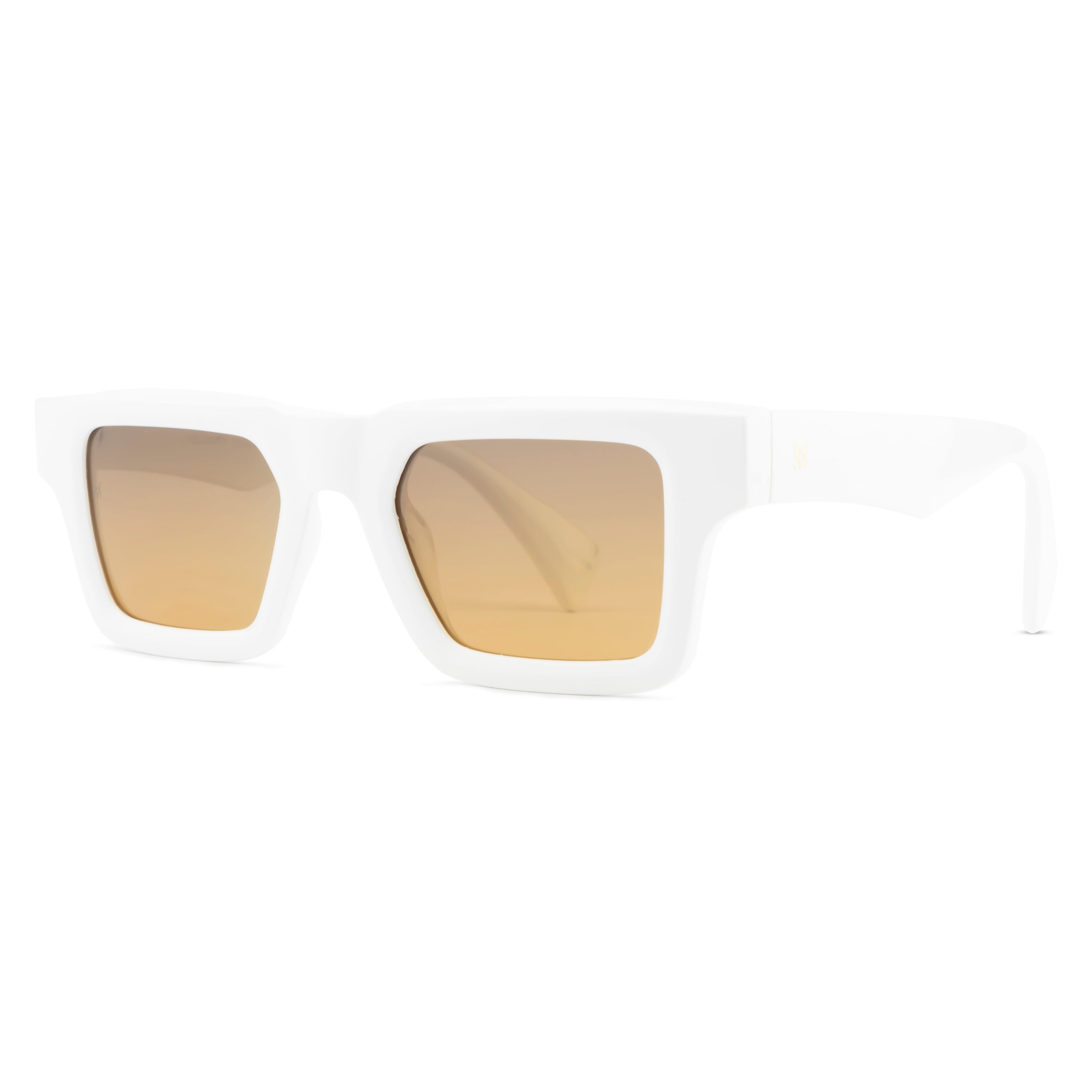 Velocity Full Rim Retro Polarized Sunglass for Men